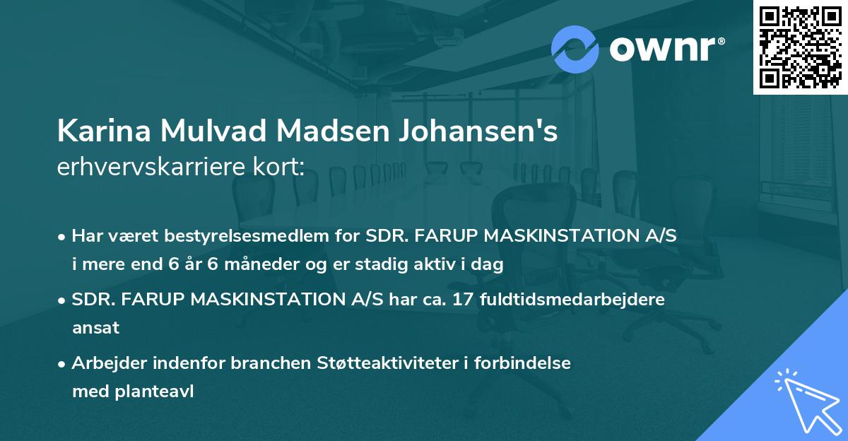 Karina Mulvad Madsen Johansen's erhvervskarriere kort