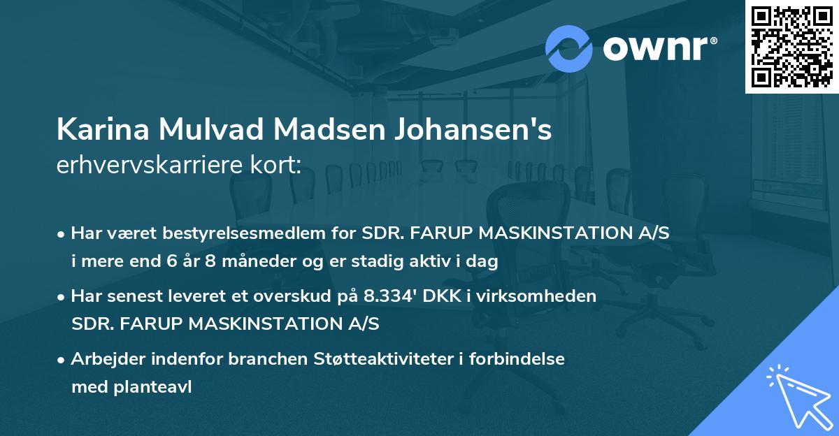Karina Mulvad Madsen Johansen's erhvervskarriere kort