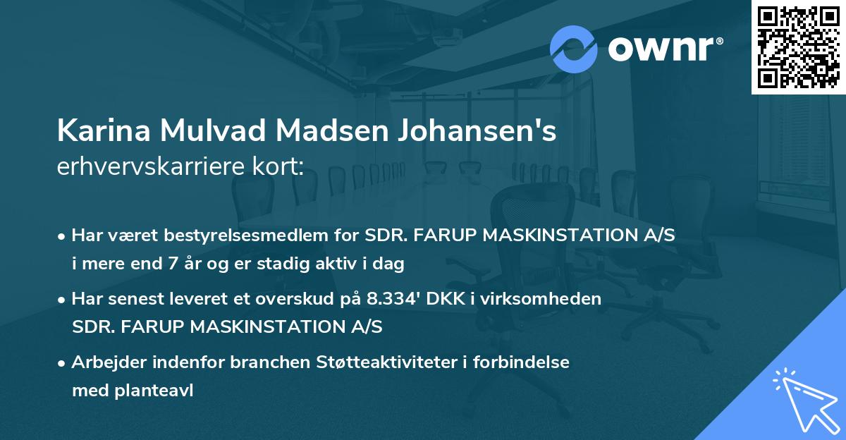 Karina Mulvad Madsen Johansen's erhvervskarriere kort