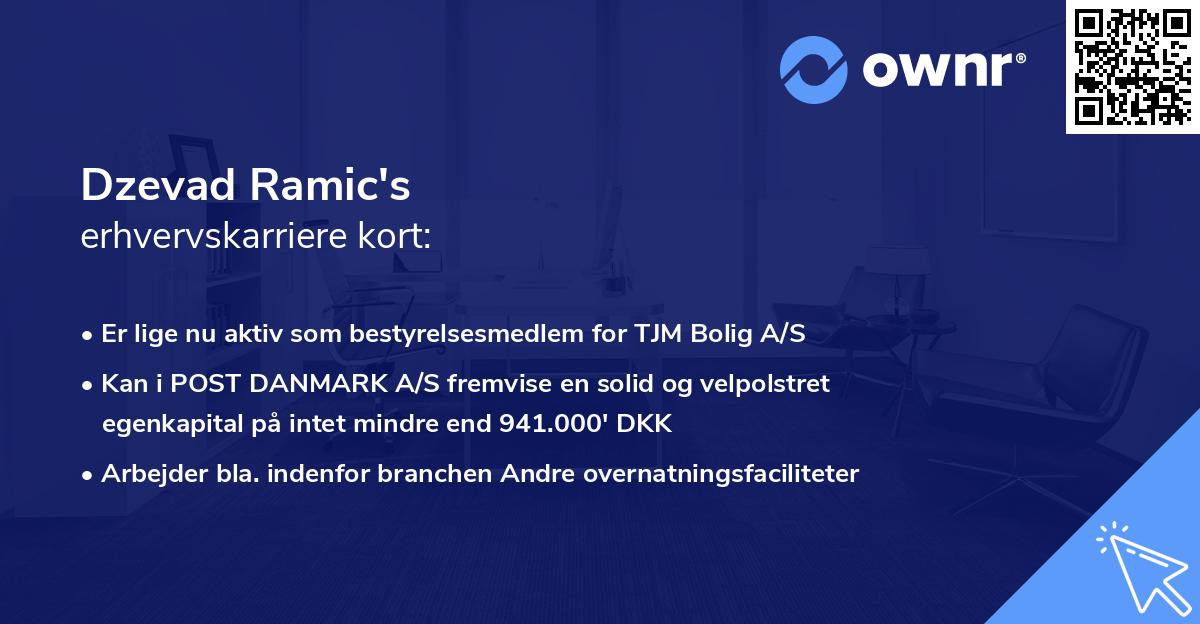 Dzevad Ramic's erhvervskarriere kort
