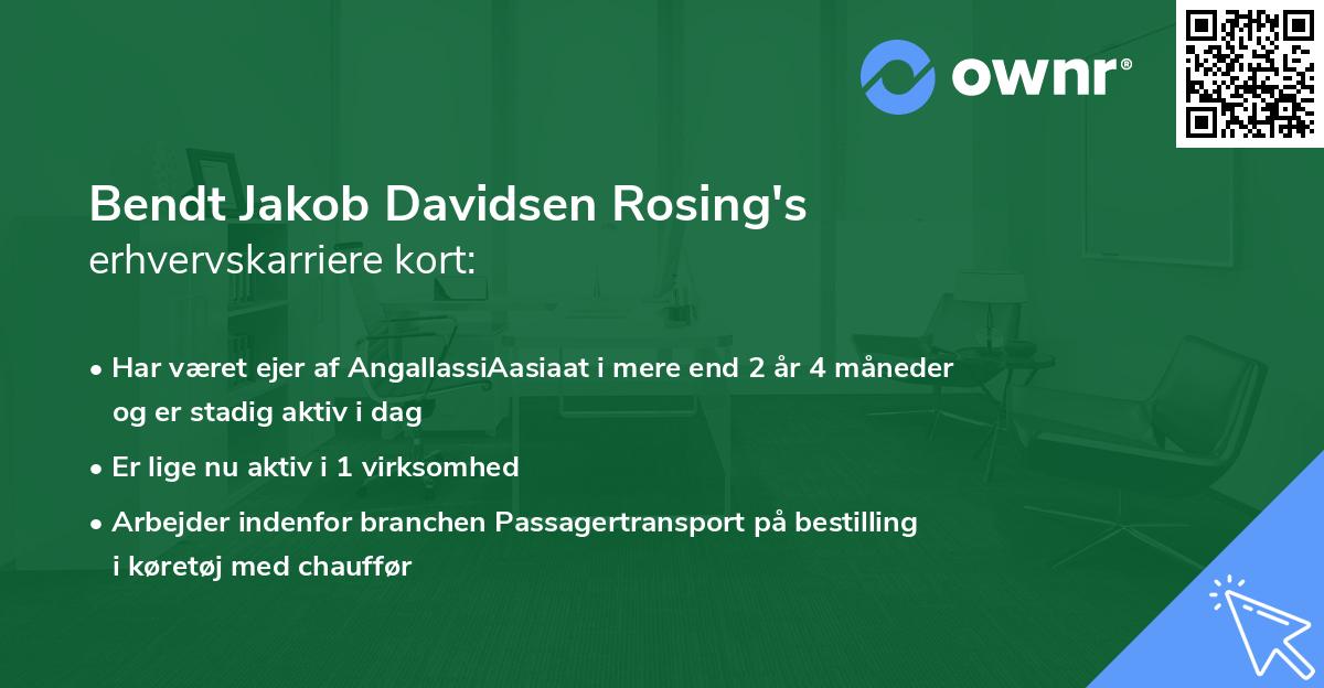 Bendt Jakob Davidsen Rosing's erhvervskarriere kort