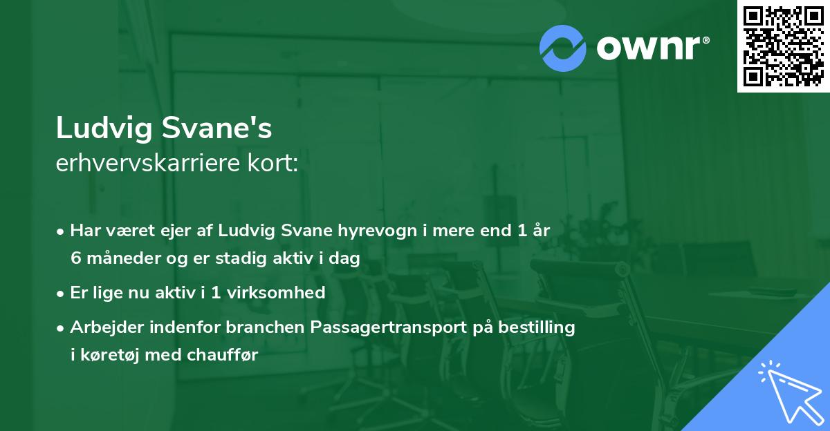 Ludvig Svane's erhvervskarriere kort