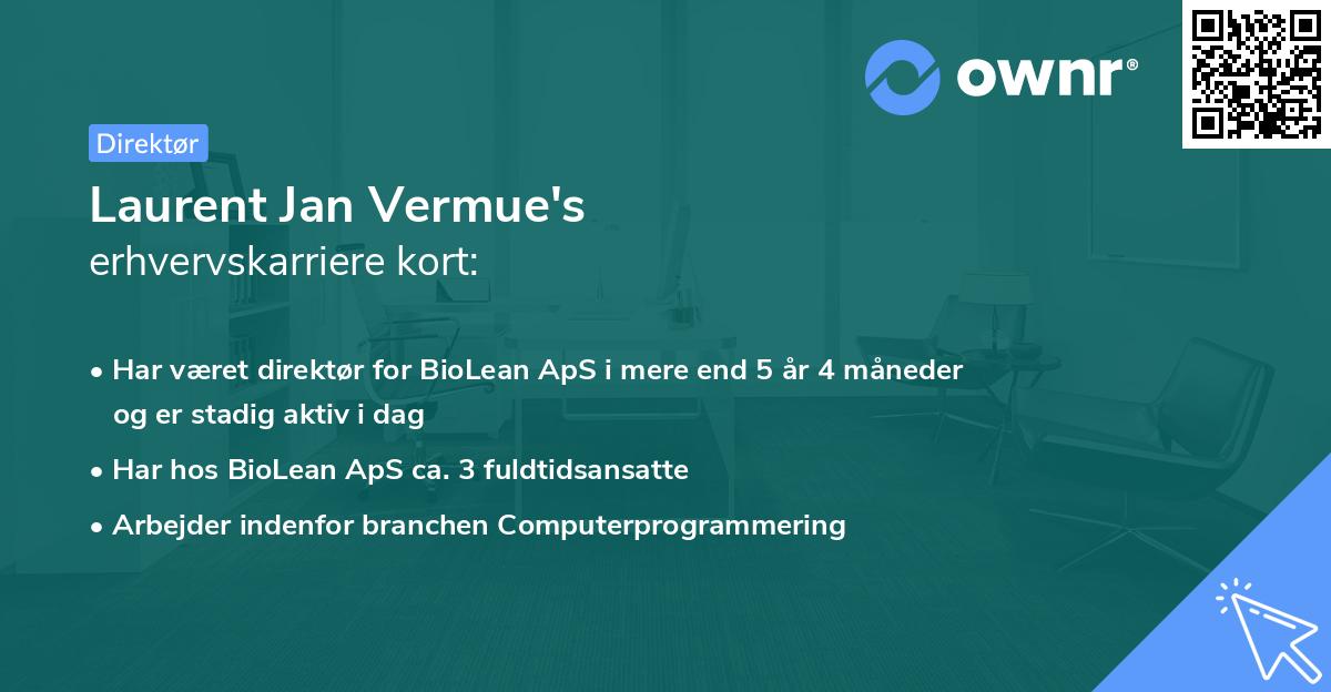 Laurent Jan Vermue's erhvervskarriere kort