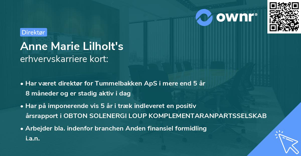 Anne Marie Lilholt's erhvervskarriere kort