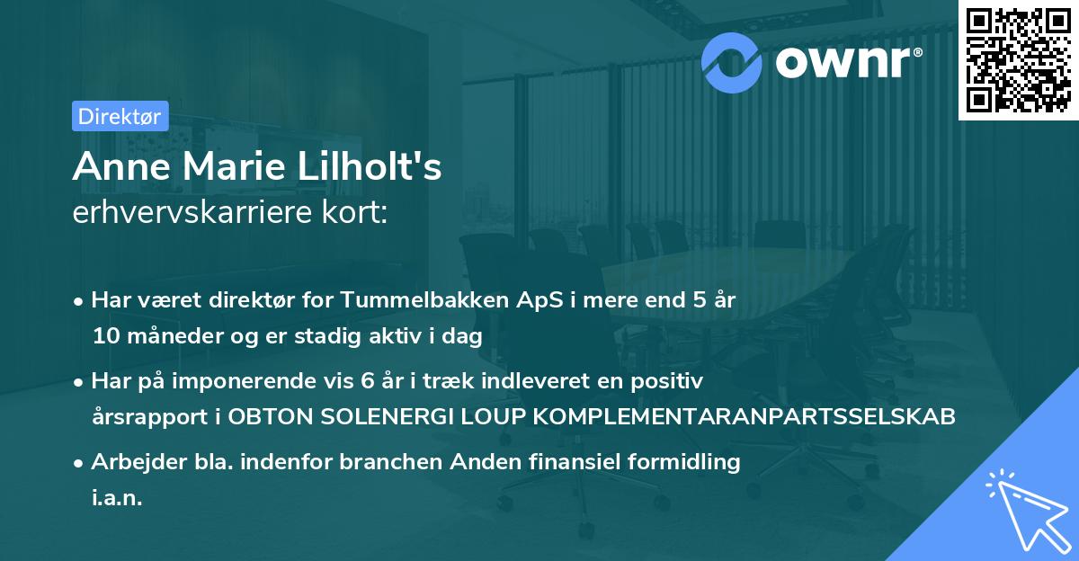 Anne Marie Lilholt's erhvervskarriere kort