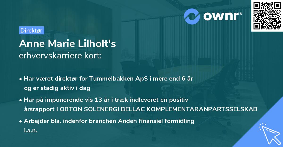 Anne Marie Lilholt's erhvervskarriere kort