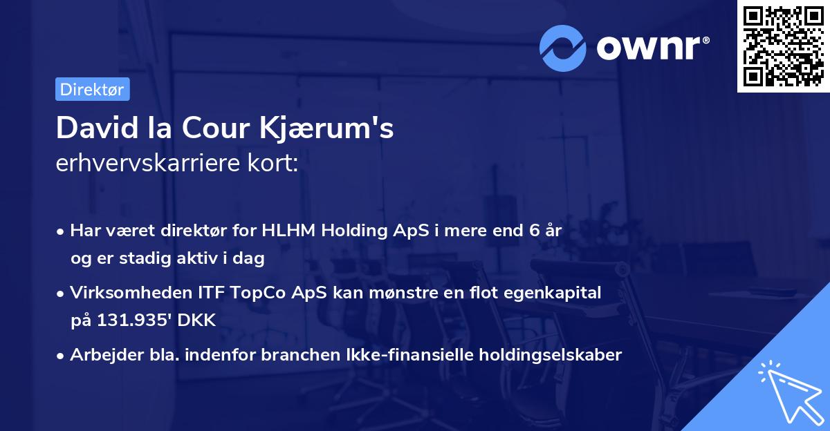 David la Cour Kjærum's erhvervskarriere kort