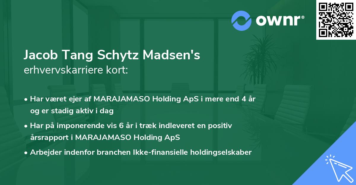 Jacob Tang Schytz Madsen's erhvervskarriere kort