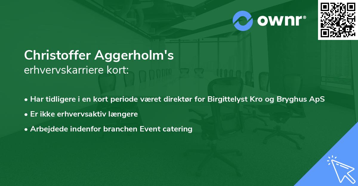 Christoffer Aggerholm's erhvervskarriere kort