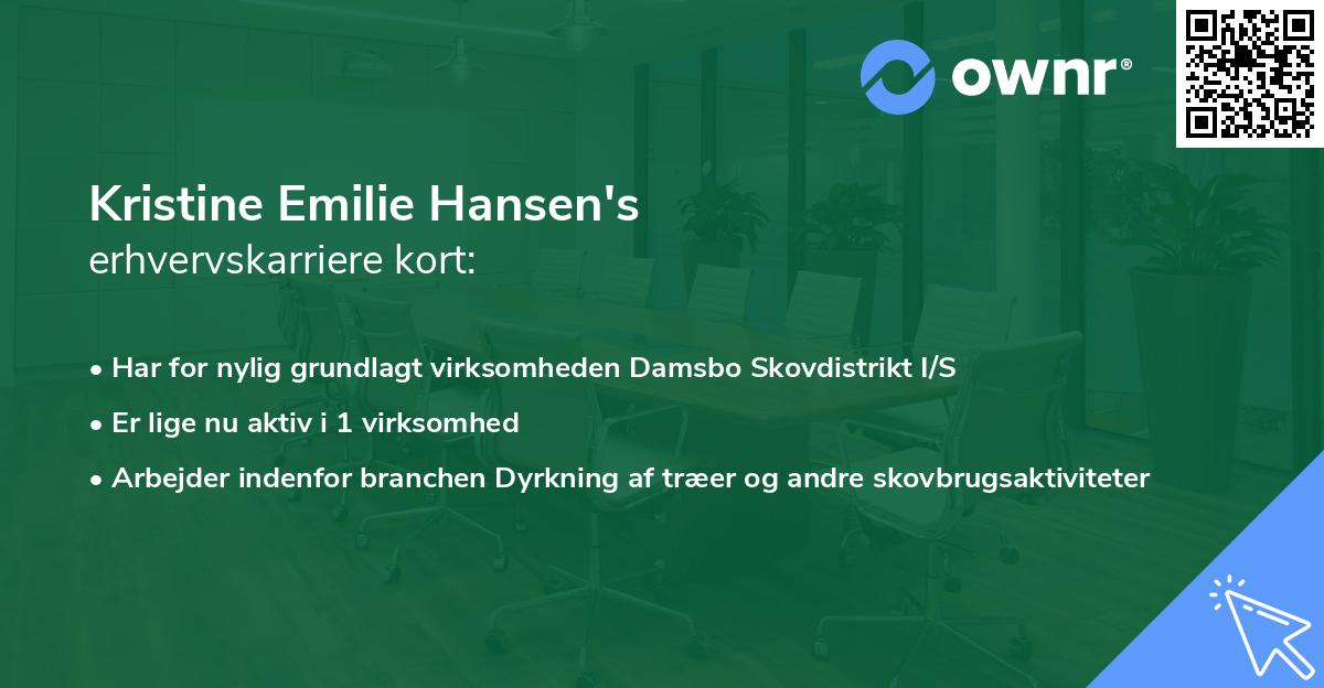Kristine Emilie Hansen's erhvervskarriere kort