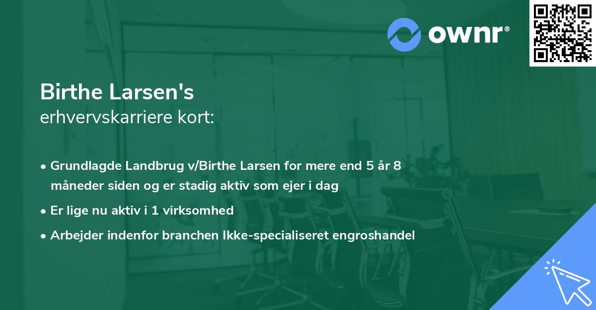 Birthe Larsen's erhvervskarriere kort