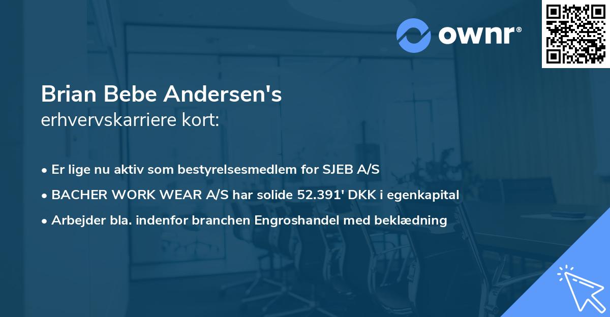 Brian Bebe Andersen's erhvervskarriere kort