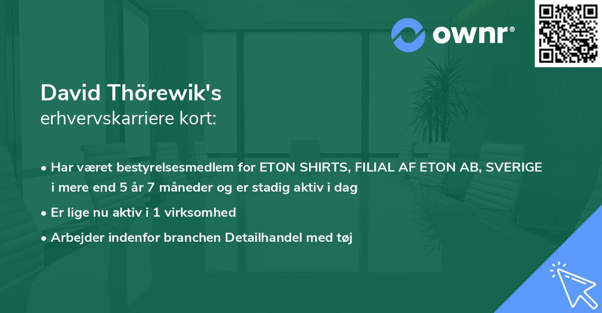 David Thörewik's erhvervskarriere kort