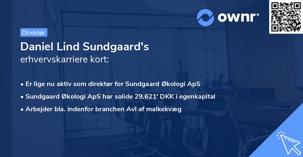 Daniel Lind Sundgaard's erhvervskarriere kort