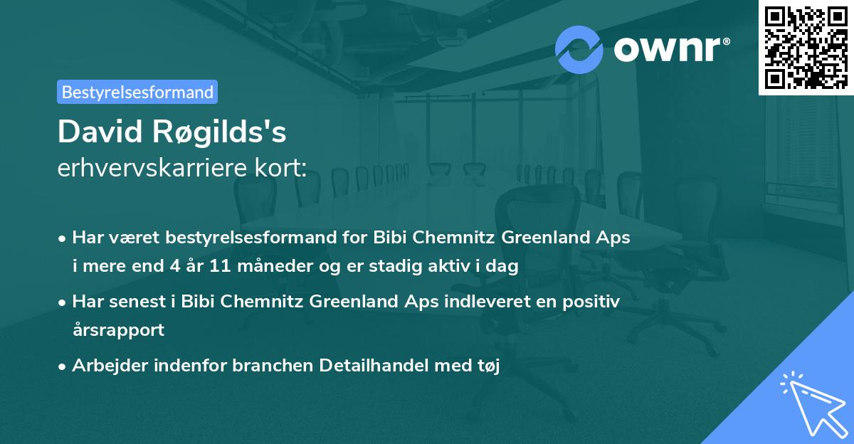 David Røgilds's erhvervskarriere kort