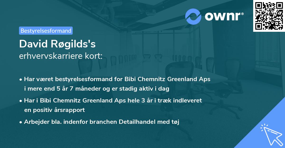David Røgilds's erhvervskarriere kort