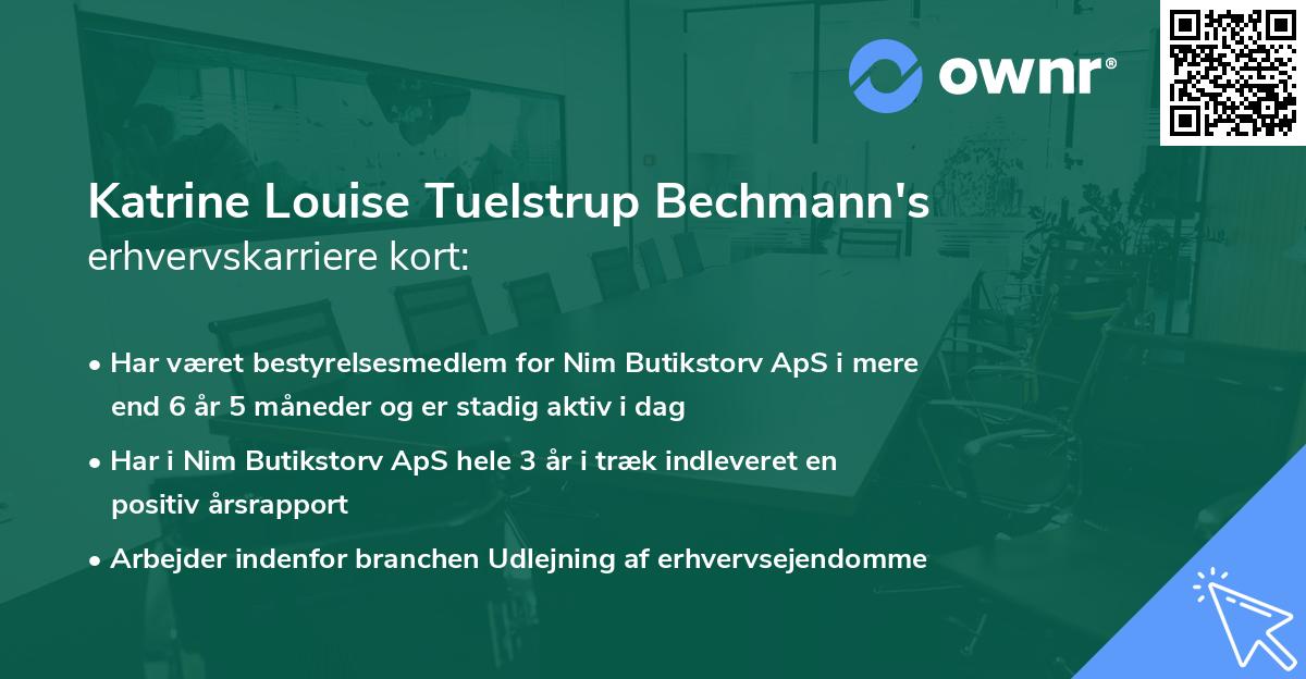 Katrine Louise Tuelstrup Bechmann's erhvervskarriere kort