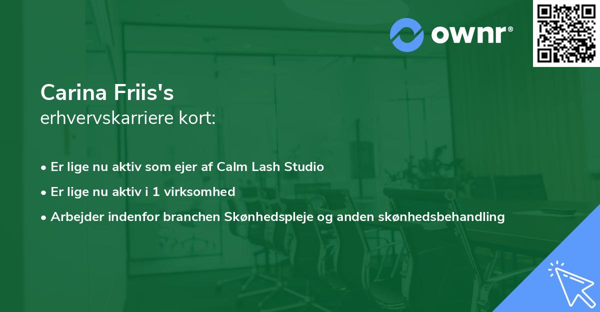 Carina Friis's erhvervskarriere kort