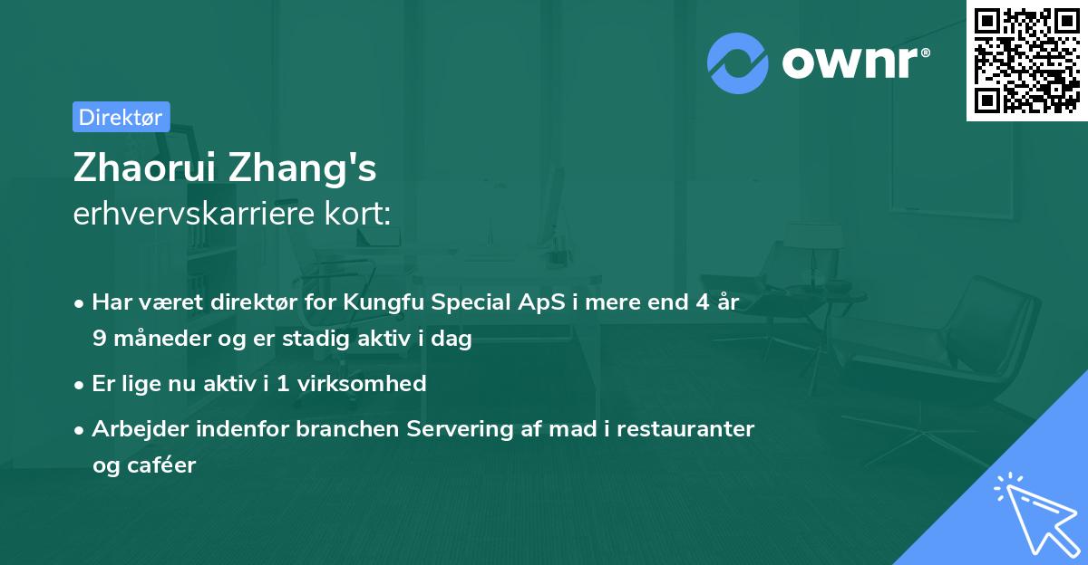 Zhaorui Zhang's erhvervskarriere kort