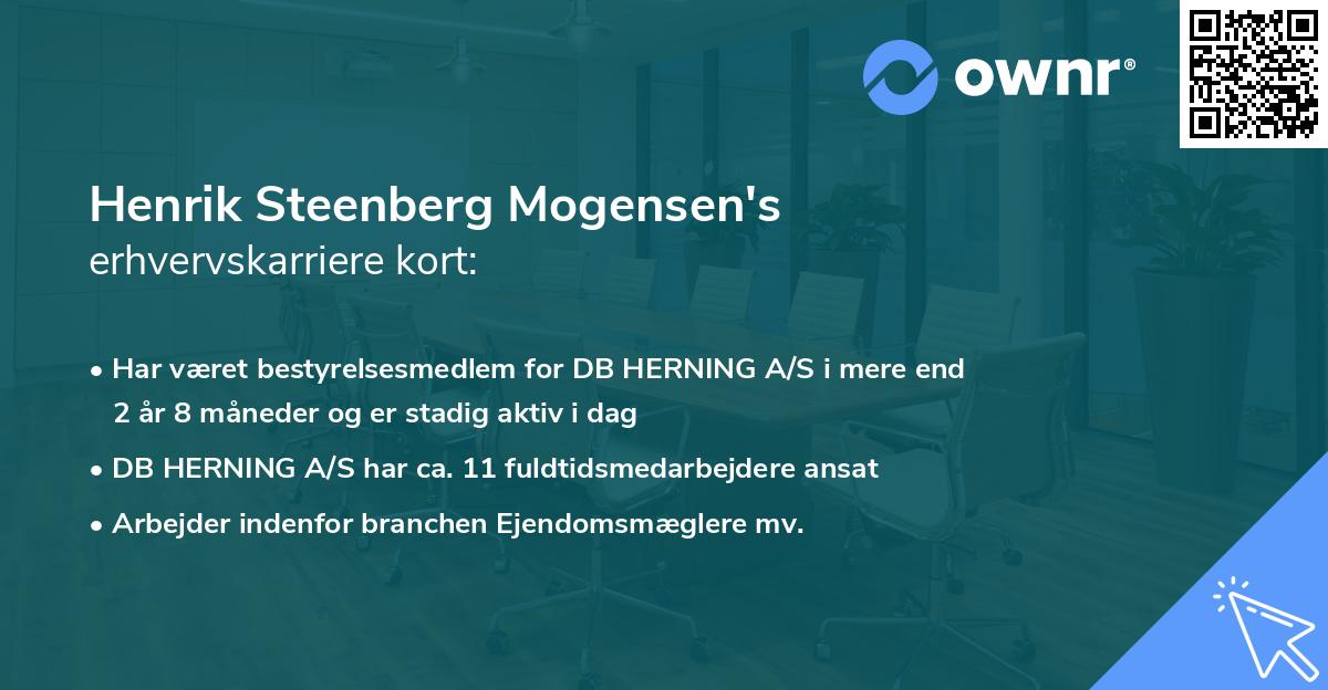 Henrik Steenberg Mogensen's erhvervskarriere kort