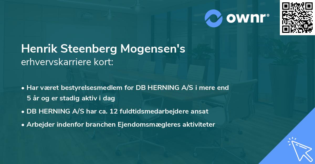 Henrik Steenberg Mogensen's erhvervskarriere kort