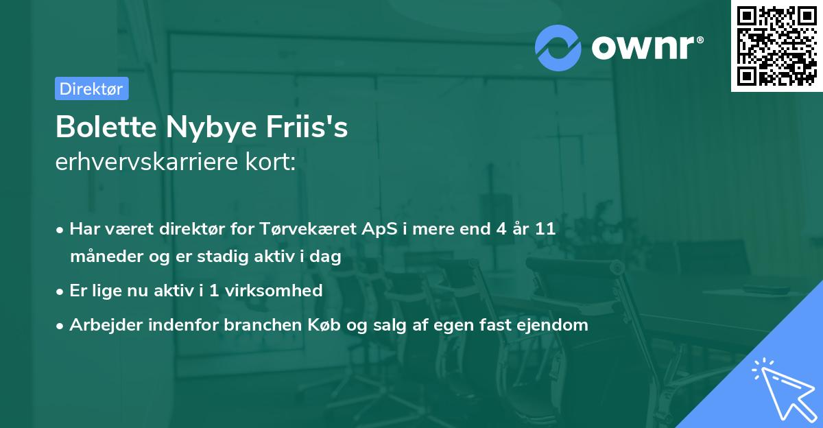 Bolette Nybye Friis's erhvervskarriere kort