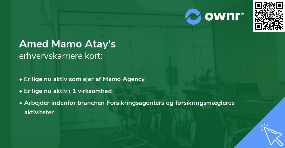 Amed Mamo Atay's erhvervskarriere kort
