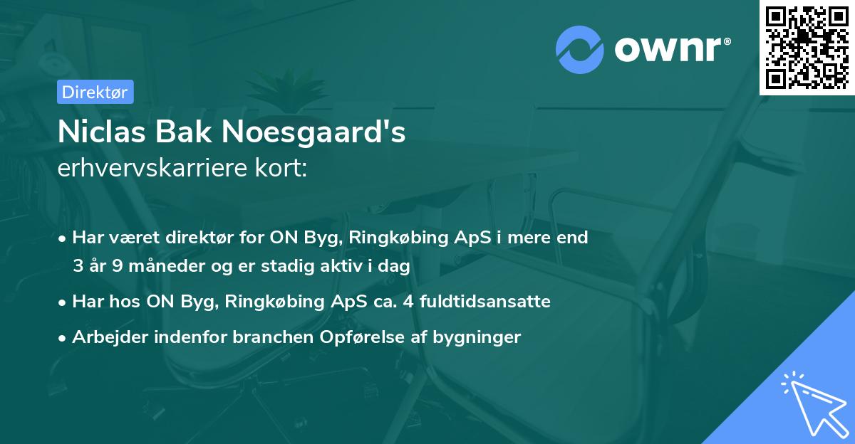 Niclas Bak Noesgaard's erhvervskarriere kort