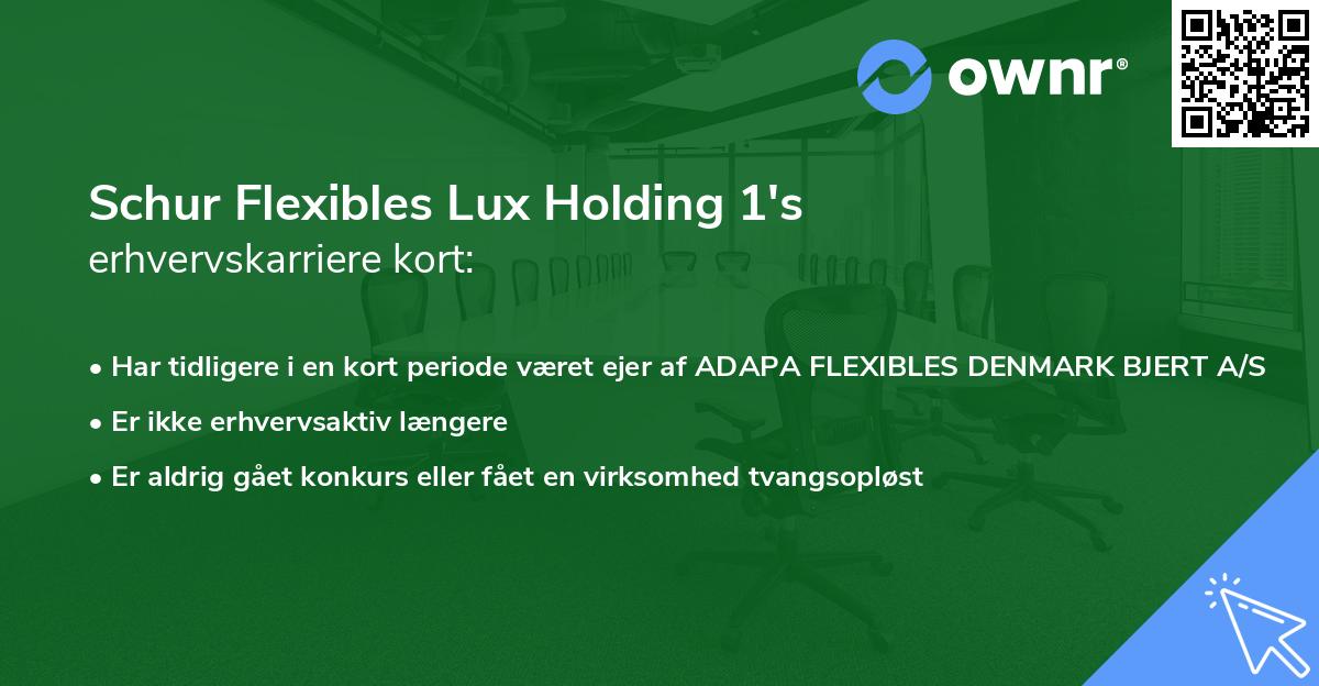 Schur Flexibles Lux Holding 1's erhvervskarriere kort
