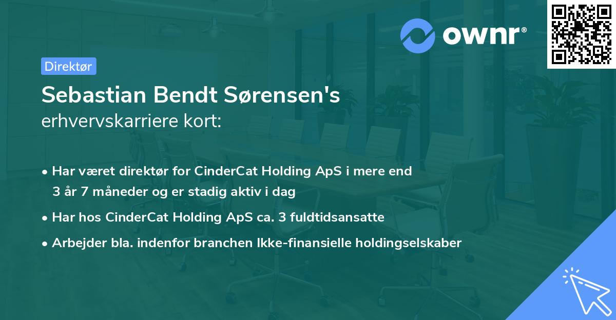 Sebastian Bendt Sørensen's erhvervskarriere kort