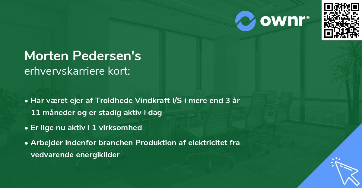 Morten Pedersen's erhvervskarriere kort