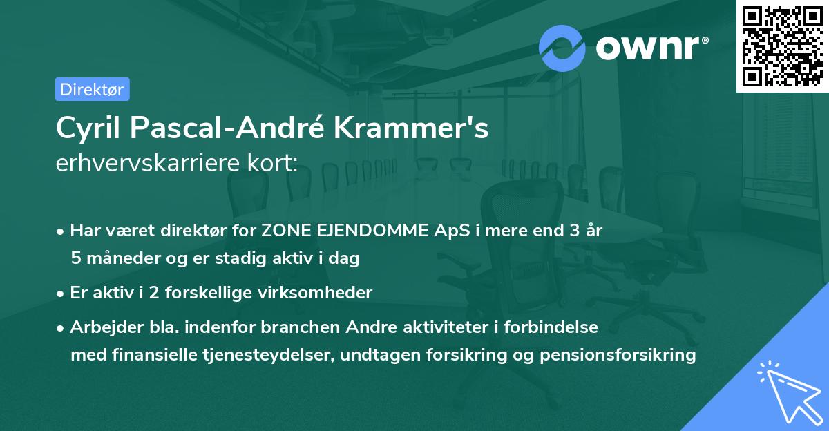 Cyril Pascal-André Krammer's erhvervskarriere kort