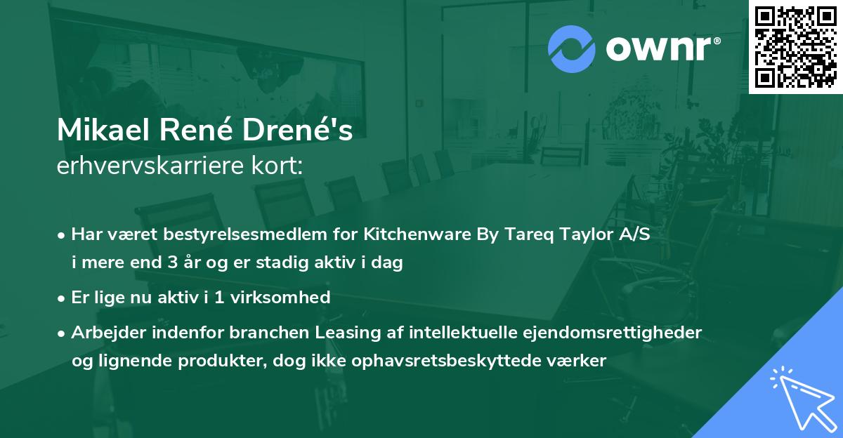 Mikael René Drené's erhvervskarriere kort