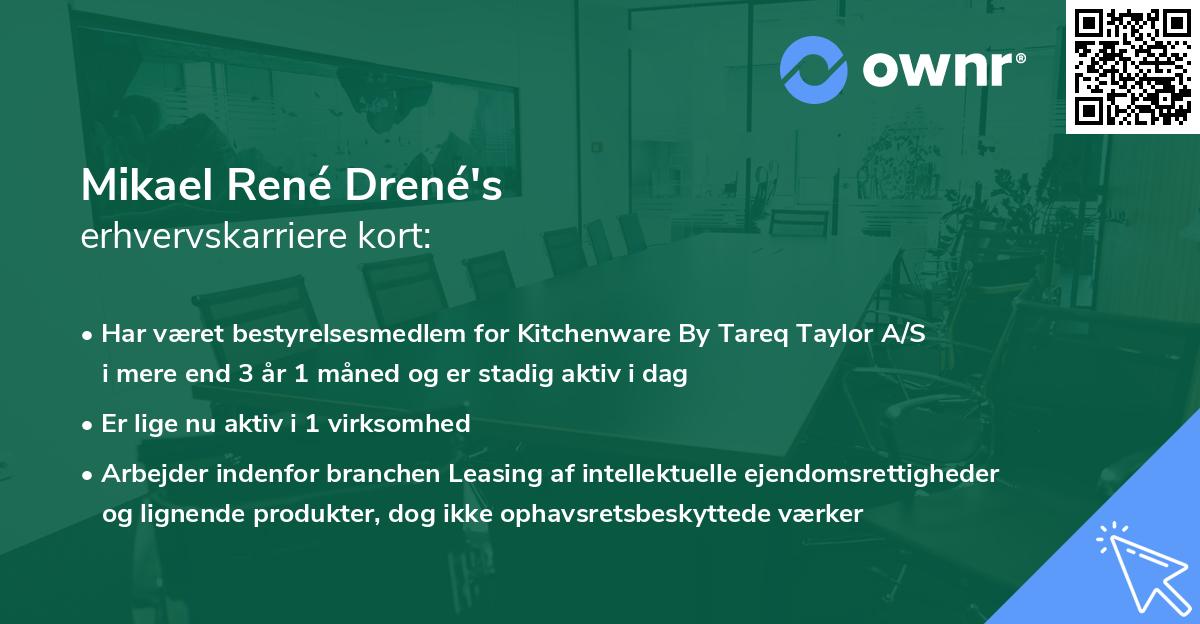 Mikael René Drené's erhvervskarriere kort
