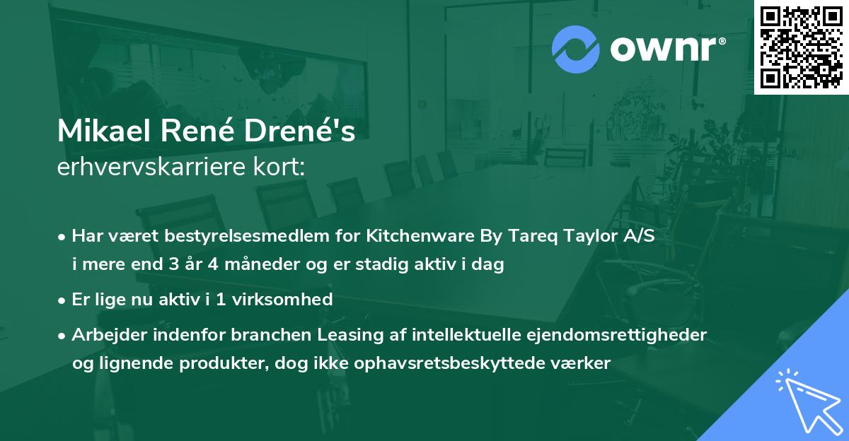 Mikael René Drené's erhvervskarriere kort