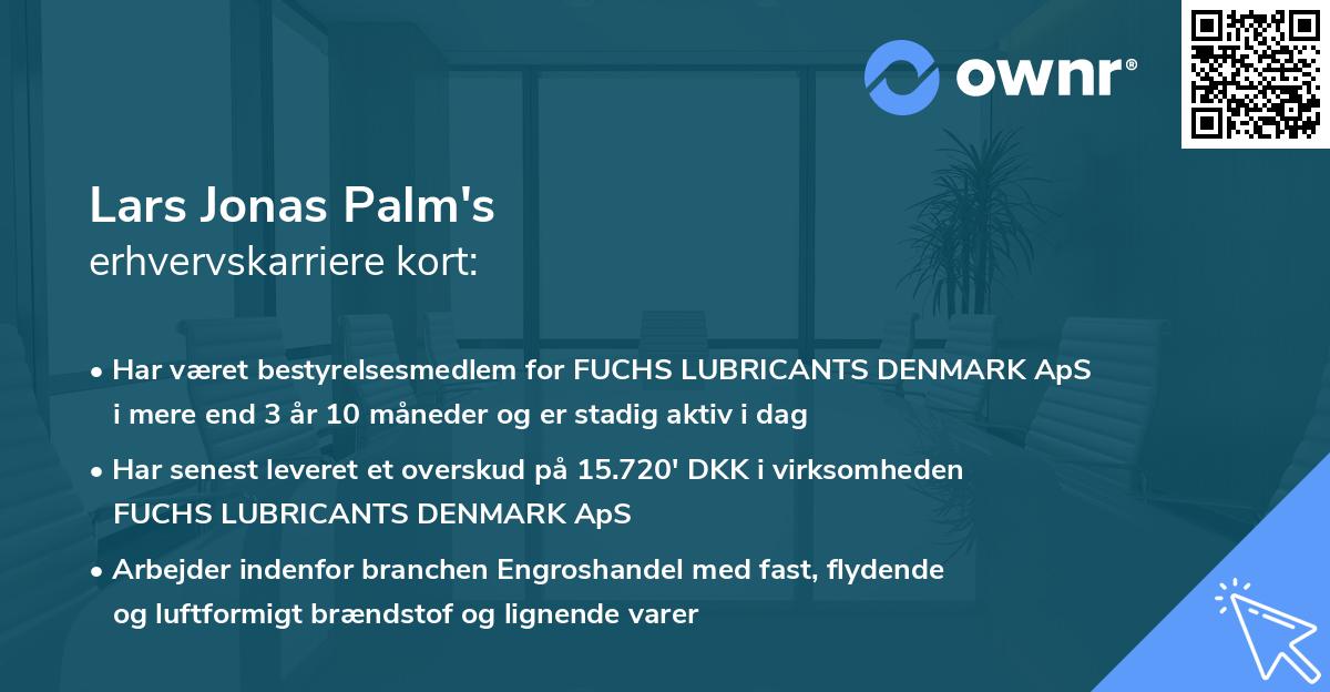 Lars Jonas Palm's erhvervskarriere kort