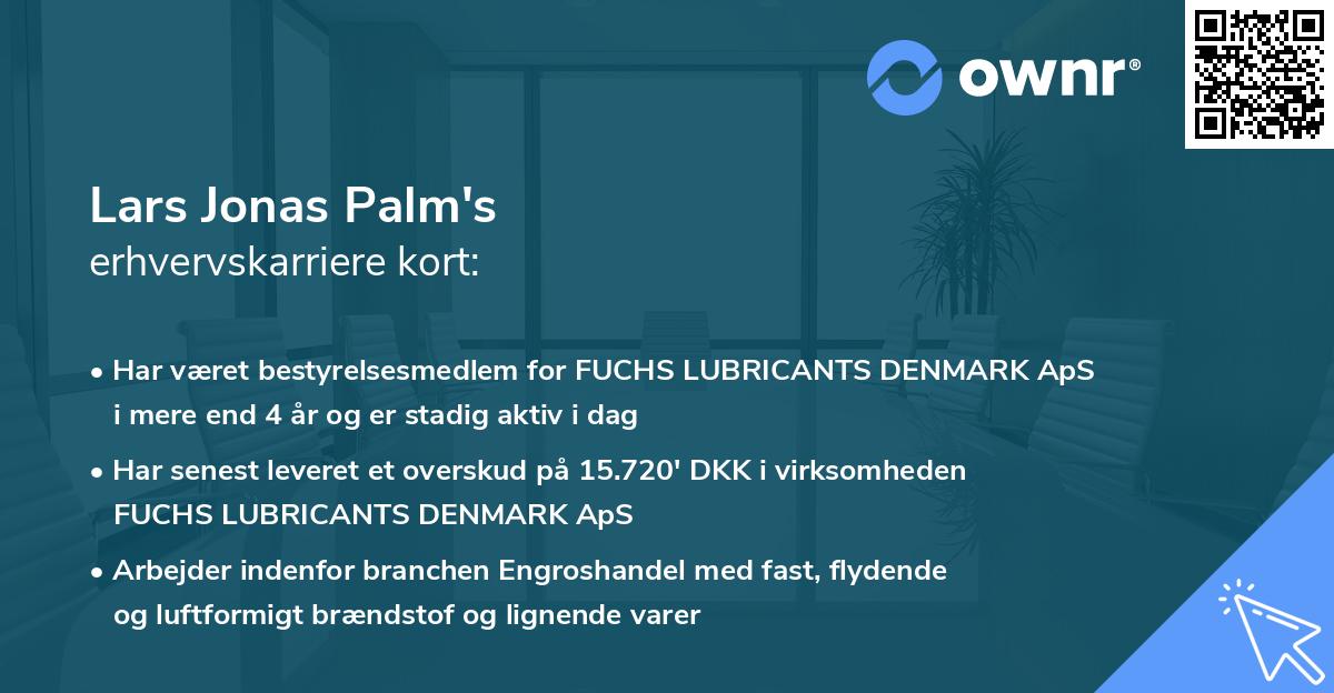Lars Jonas Palm's erhvervskarriere kort