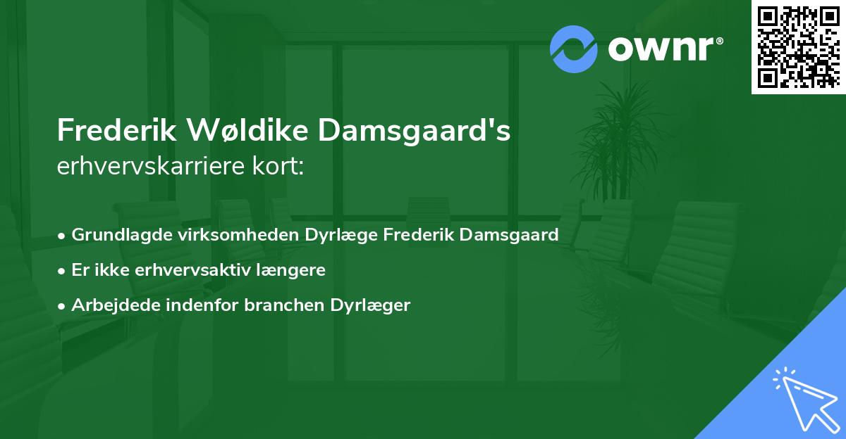 Frederik Wøldike Damsgaard's erhvervskarriere kort