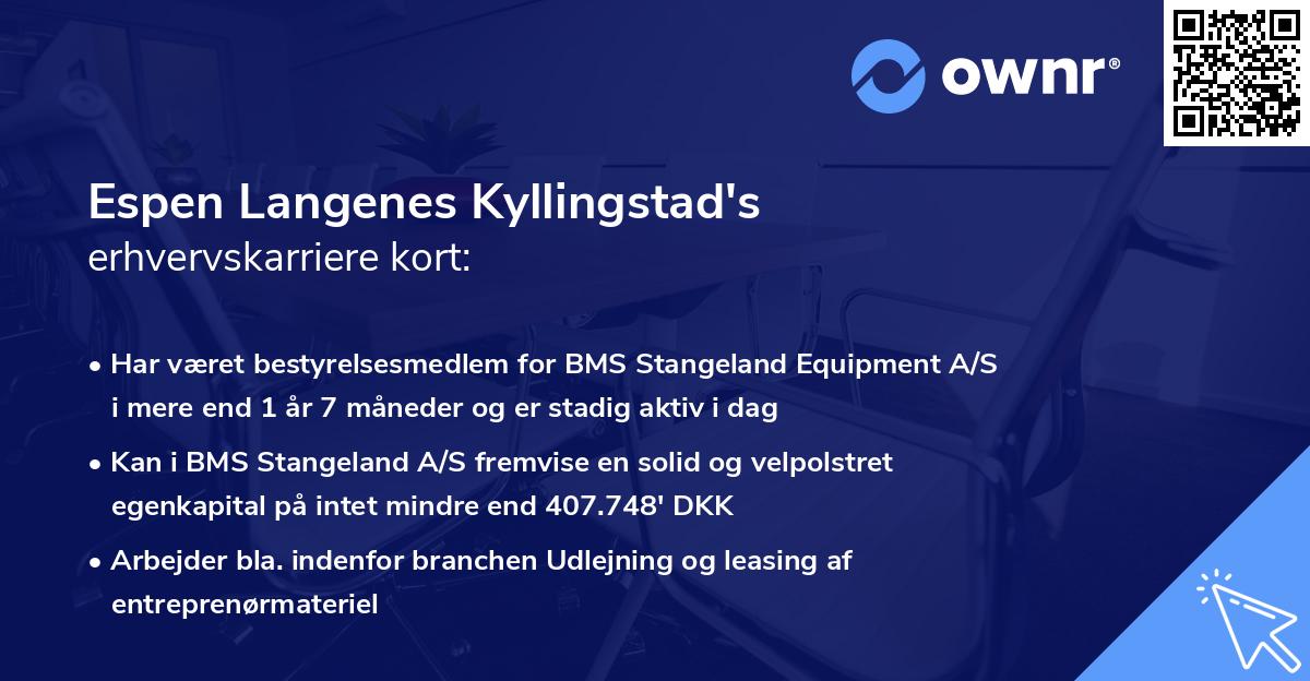 Espen Langenes Kyllingstad's erhvervskarriere kort