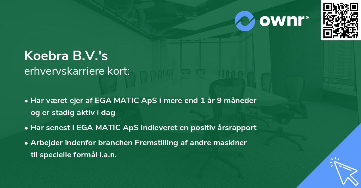 Koebra B.V.'s erhvervskarriere kort