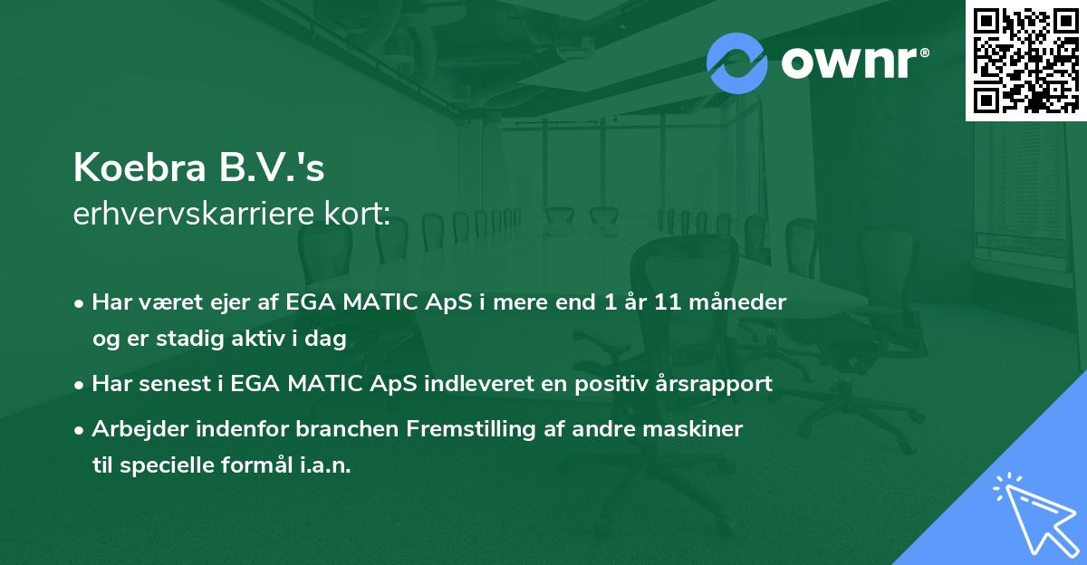 Koebra B.V.'s erhvervskarriere kort