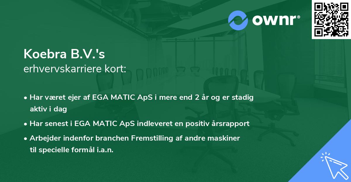 Koebra B.V.'s erhvervskarriere kort