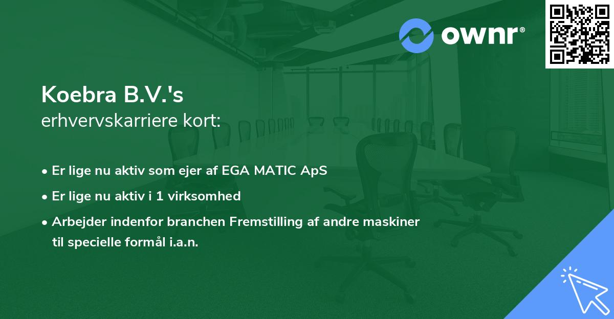 Koebra B.V.'s erhvervskarriere kort