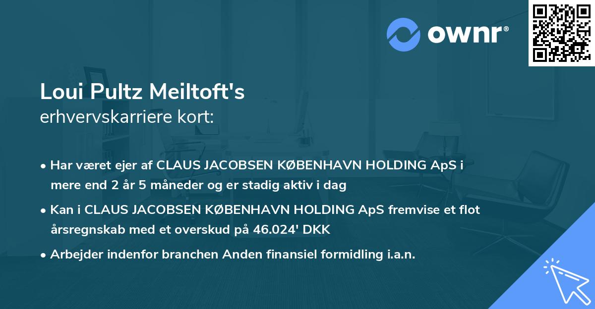 Loui Pultz Meiltoft's erhvervskarriere kort