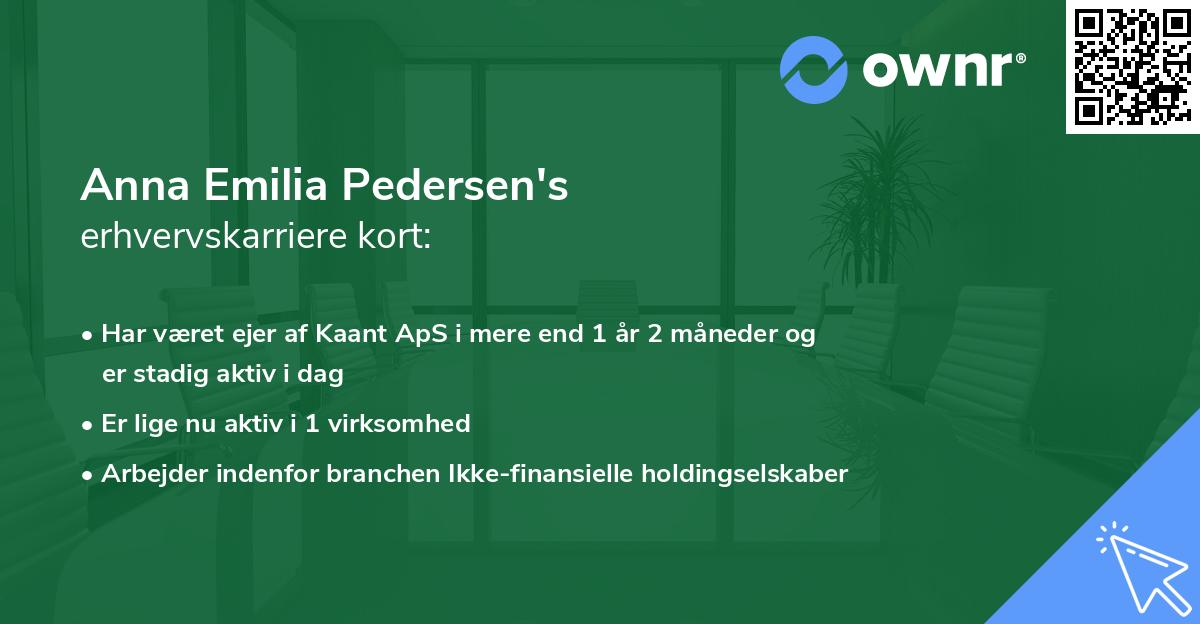 Anna Emilia Pedersen's erhvervskarriere kort
