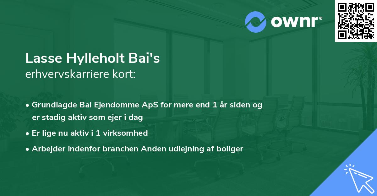 Lasse Hylleholt Bai's erhvervskarriere kort