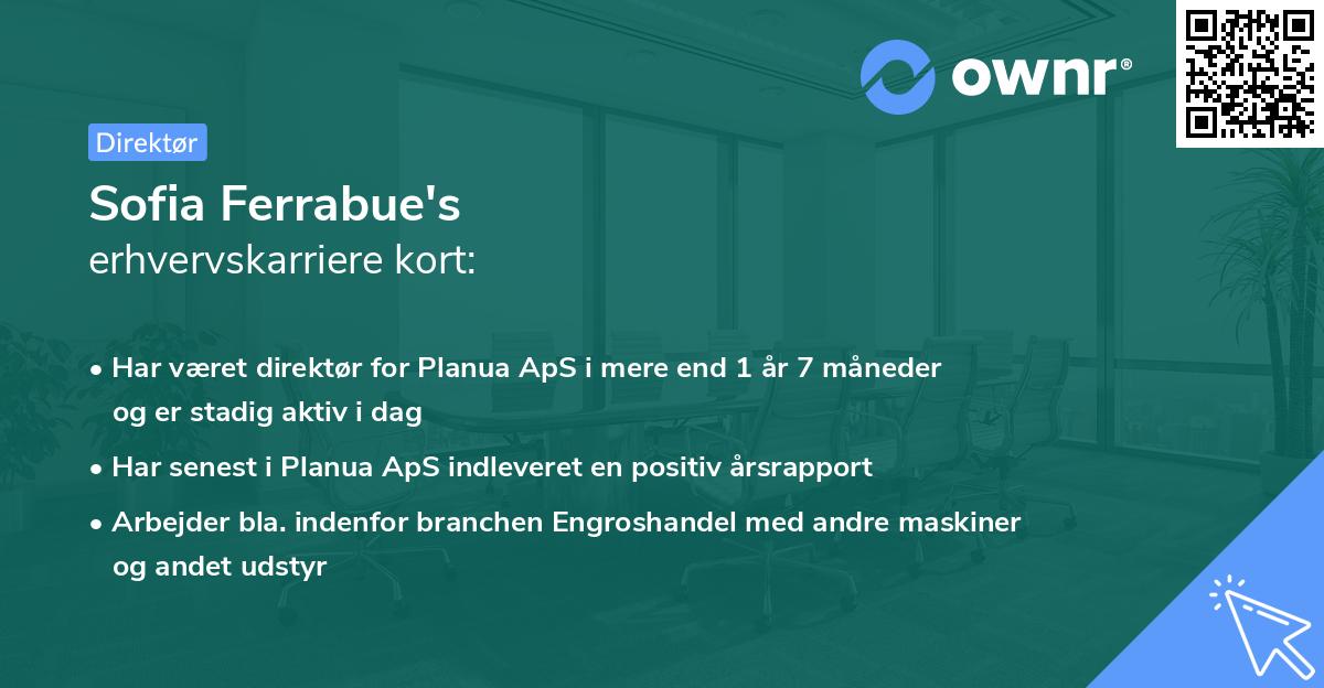 Sofia Ferrabue's erhvervskarriere kort