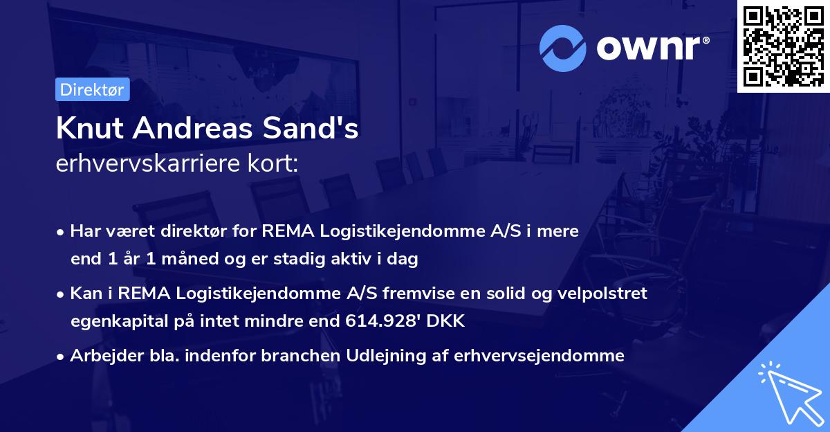 Knut Andreas Sand's erhvervskarriere kort