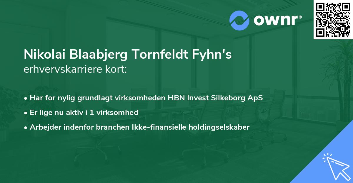 Nikolai Blaabjerg Tornfeldt Fyhn's erhvervskarriere kort