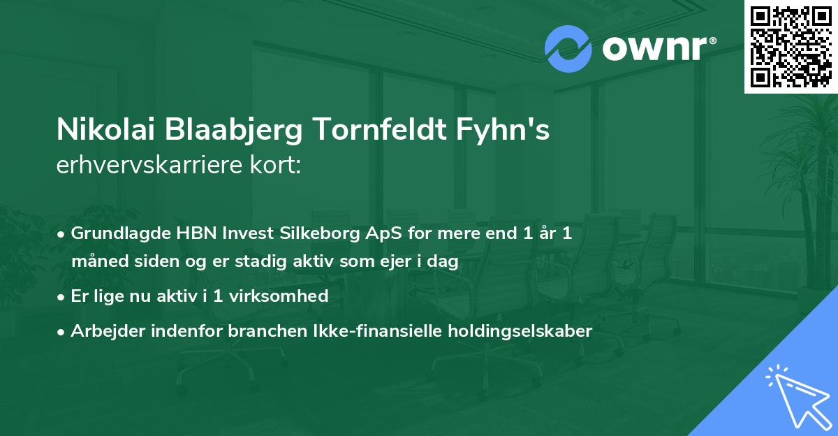 Nikolai Blaabjerg Tornfeldt Fyhn's erhvervskarriere kort